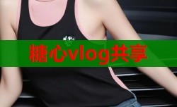 糖心vlog共享