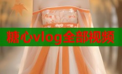 糖心vlog全部视频
