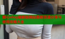 糖心vlog破解版网站最新资源分享与使用攻略大全
