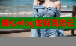 糖心vlog破解百度云