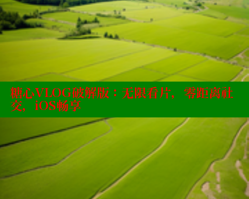 糖心VLOG破解版：无限看片，零距离社交，iOS畅享 糖心vlog肉丝库水柚子猫 第1张