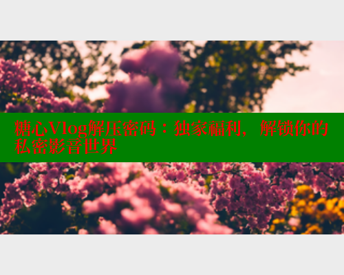 糖心Vlog解压密码:独家福利,解锁你的私密影音世界 糖心vlog 第1张 糖心Vlog解压密码:独家福利,解锁你的私密影音世界 糖心vlog 第1张
