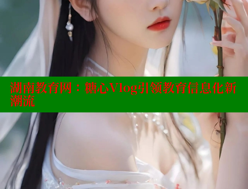 湖南教育网：糖心Vlog引领教育信息化新潮流 糖心vlog 第1张